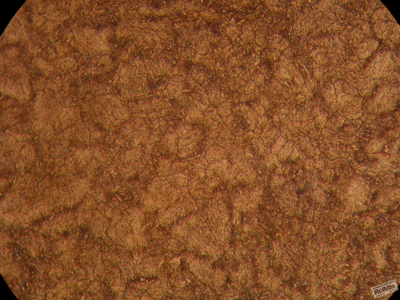 500X2.JPG