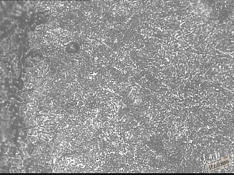 J1G-FF03-355齿轮(牧田原装)-2.jpg