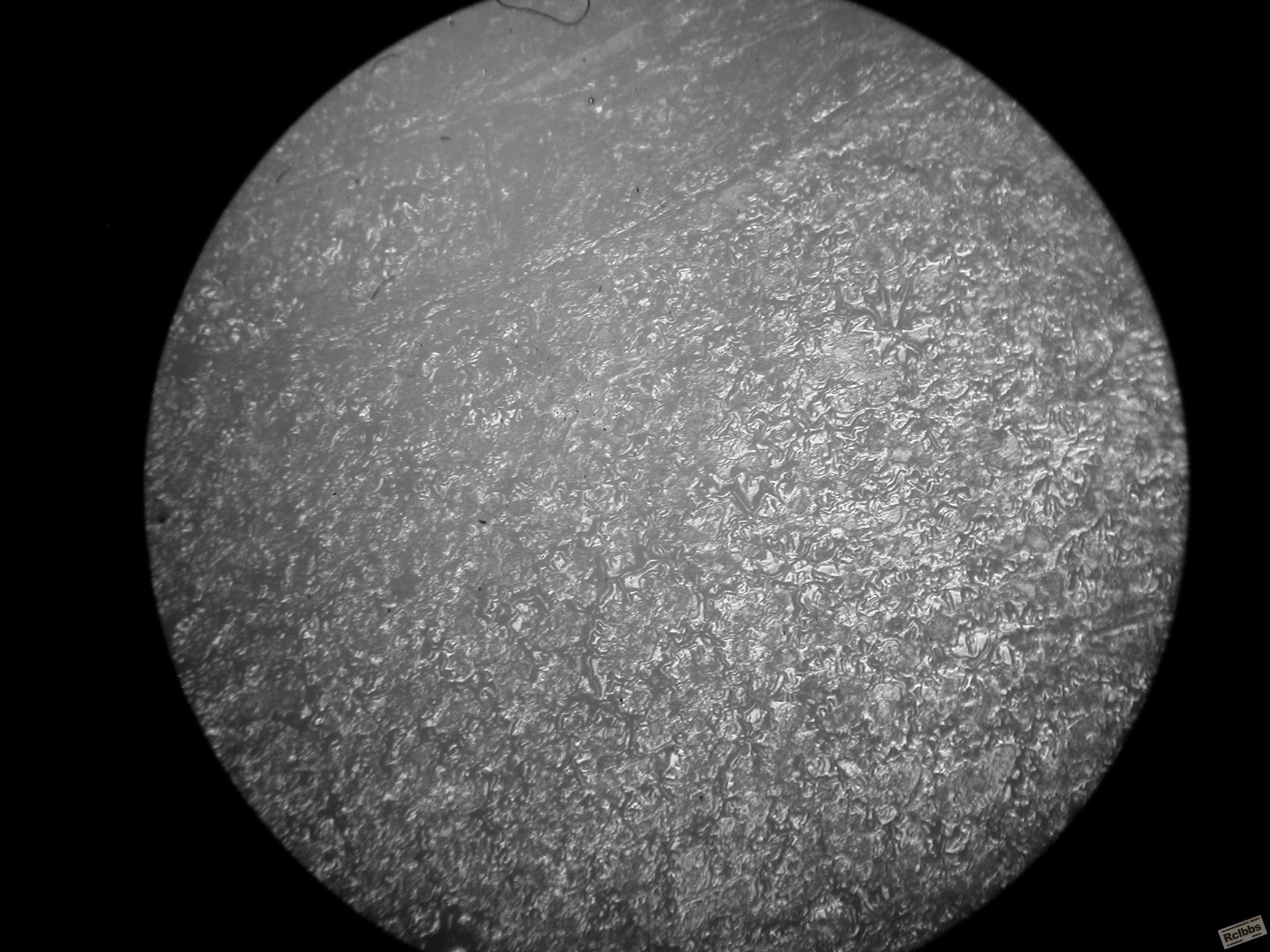 DSCN1670.JPG
