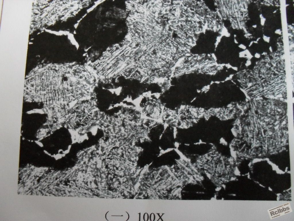 SDC10861.jpg