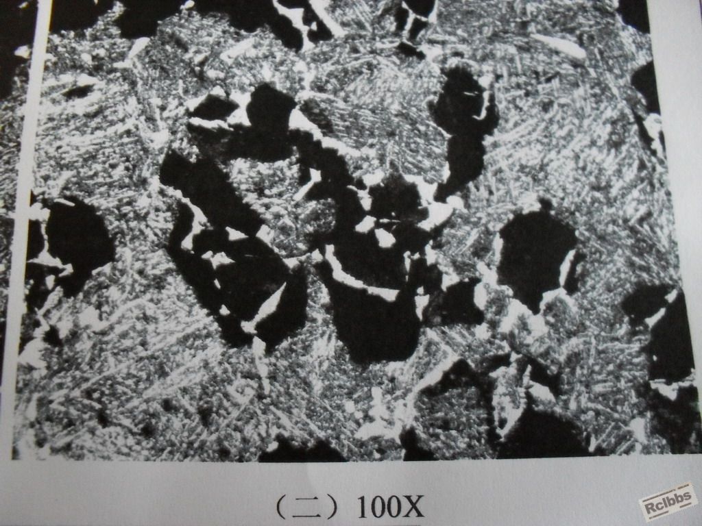 SDC10862.jpg