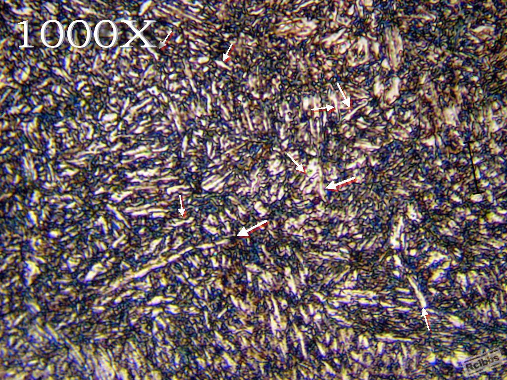 PA226658.jpg
