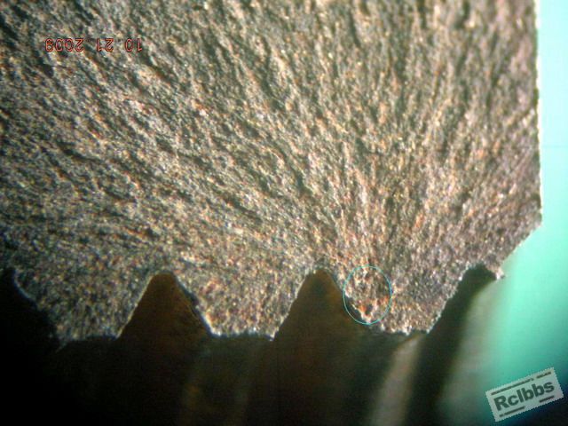 DSCN2226.jpg