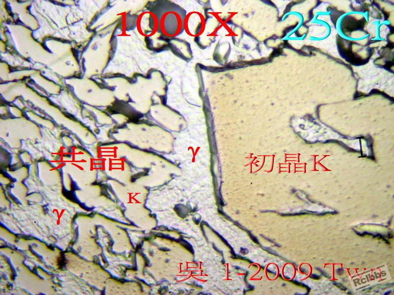 XinCast.jpg