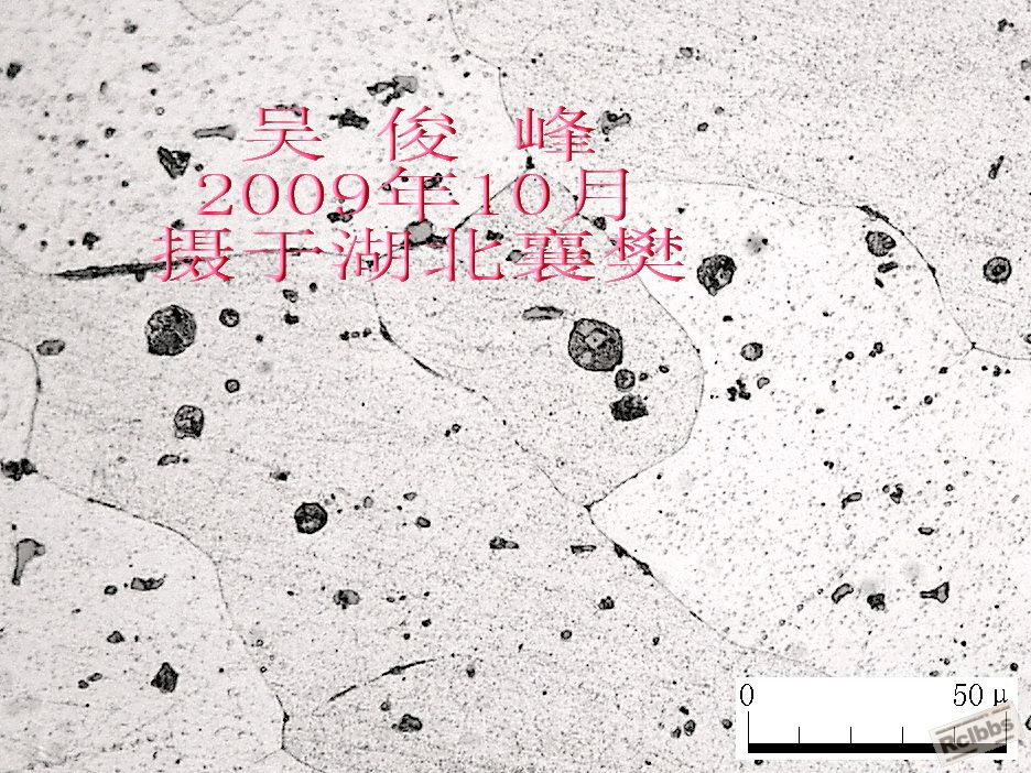 500X-1-1.jpg