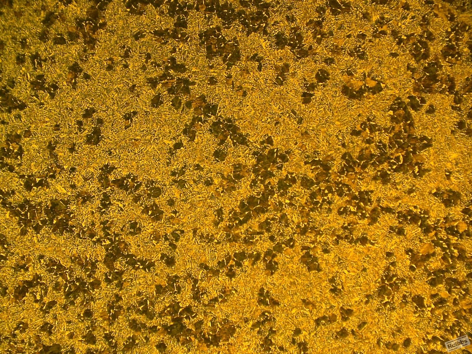 091016[42CrMo]-01-100×.jpg