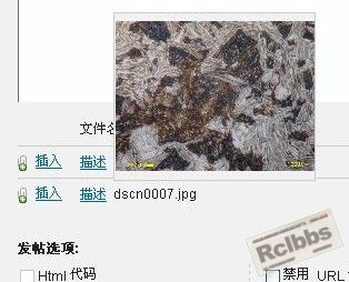未命名1.JPG