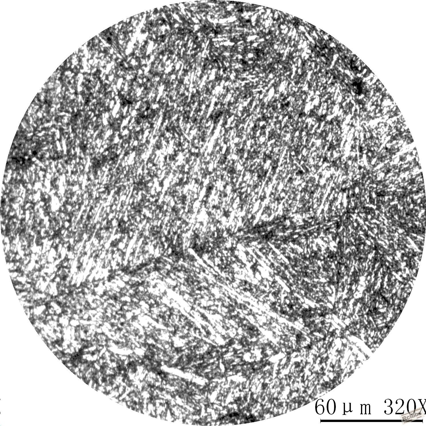 38CrMoAl,调质-3.JPG
