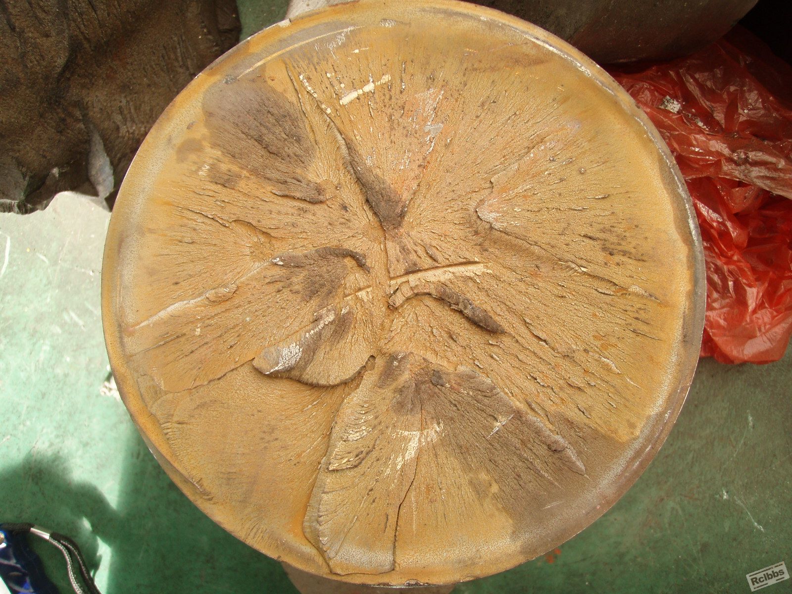 PA143852.JPG