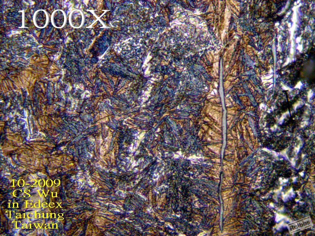PA297189.jpg