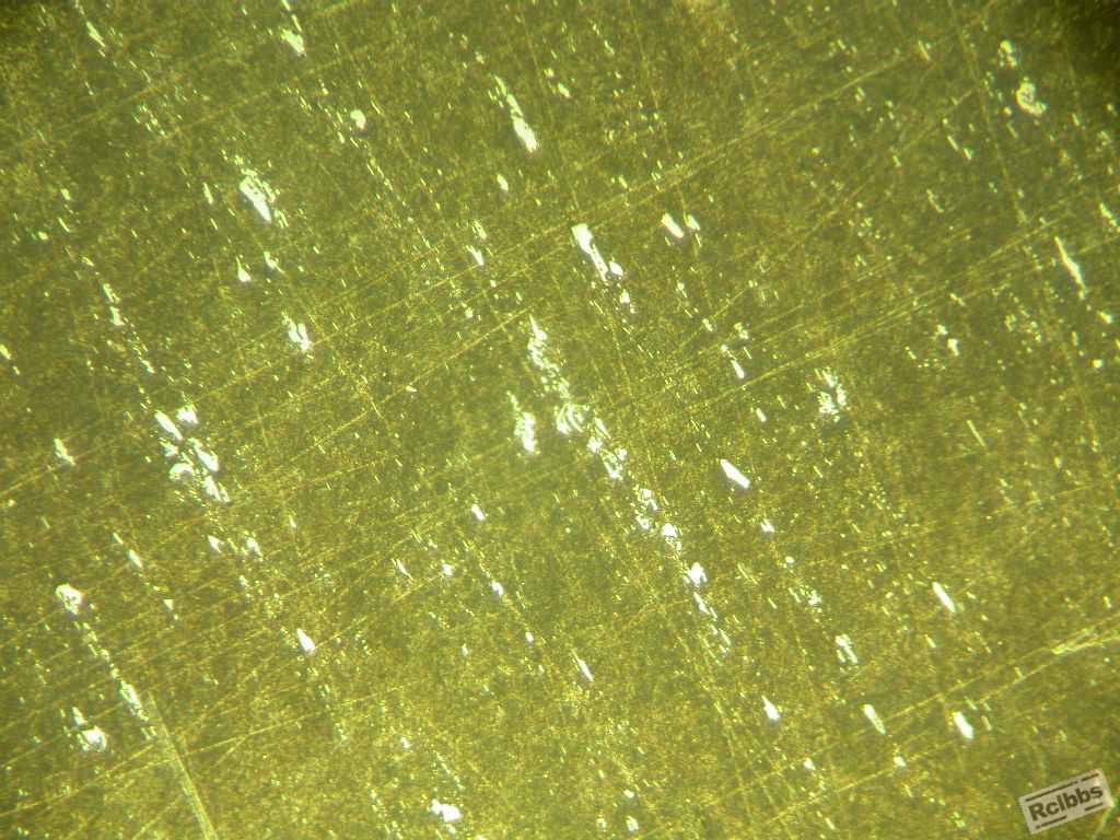 DSCN7284-100倍 共晶碳化物4级.JPG