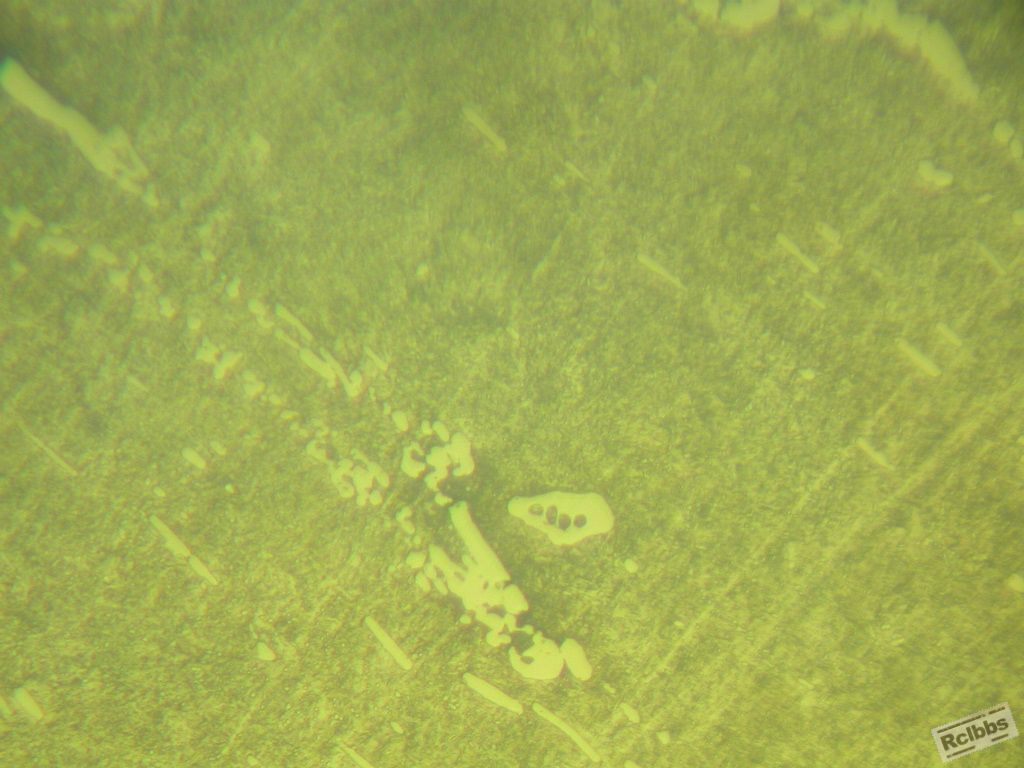 DSCN7229倍500.JPG
