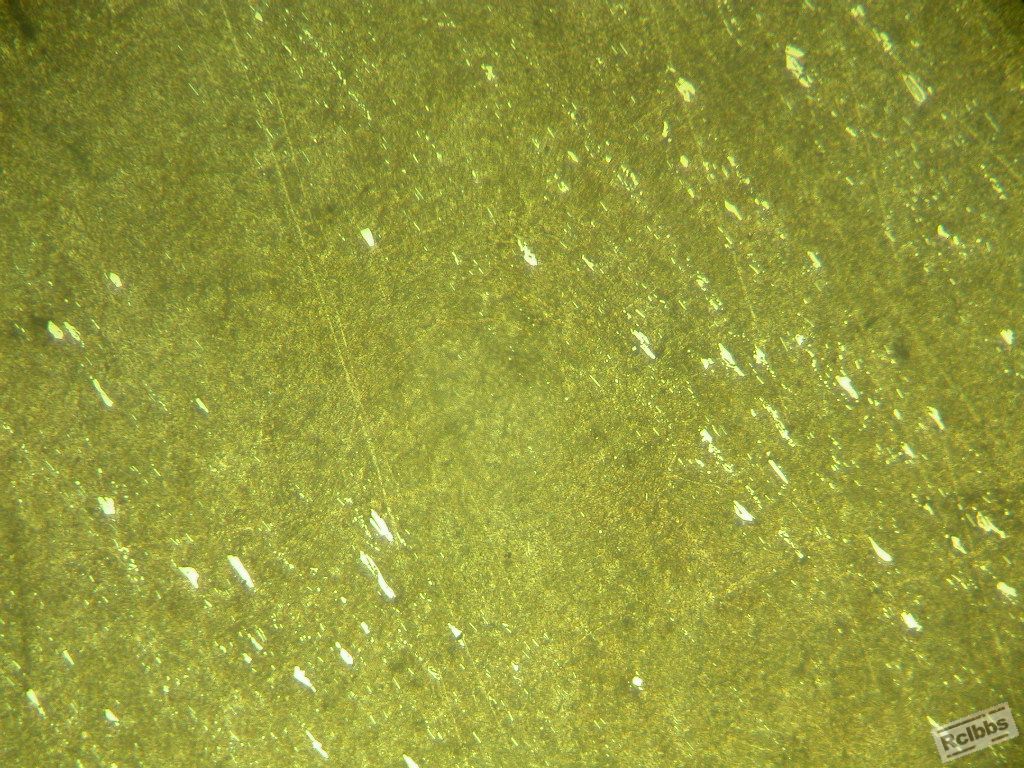 DSCN7283-100倍 共晶碳化物3级.JPG