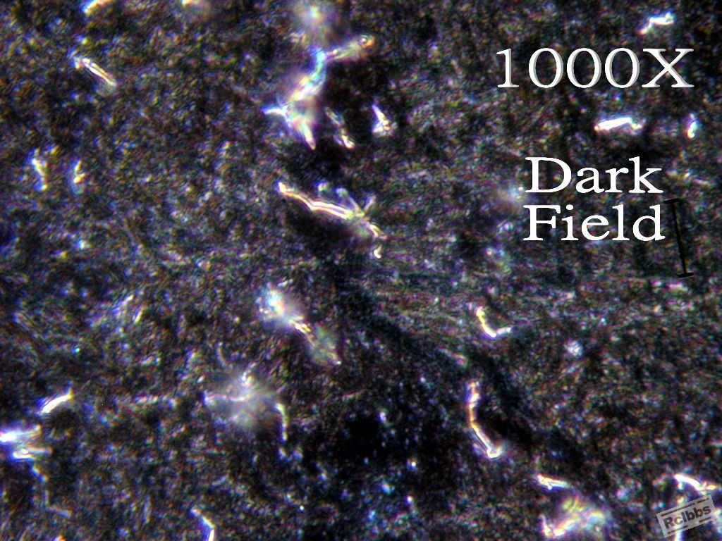 PA226718.jpg