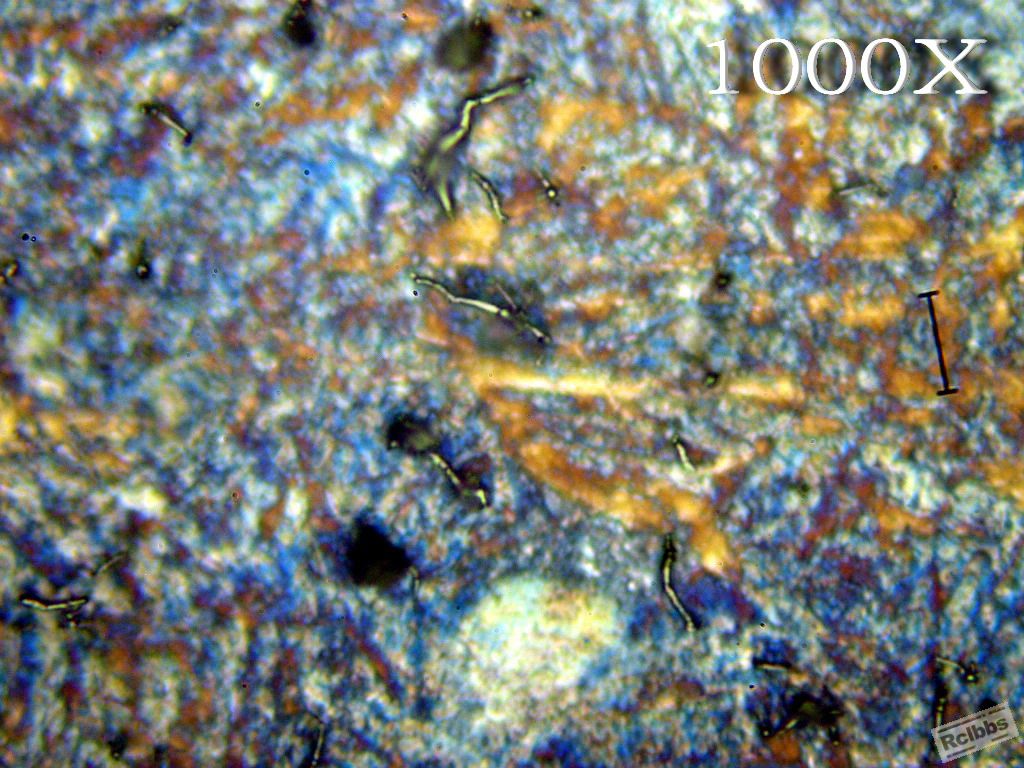 PA226717.jpg