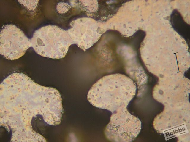 PA317320.jpg
