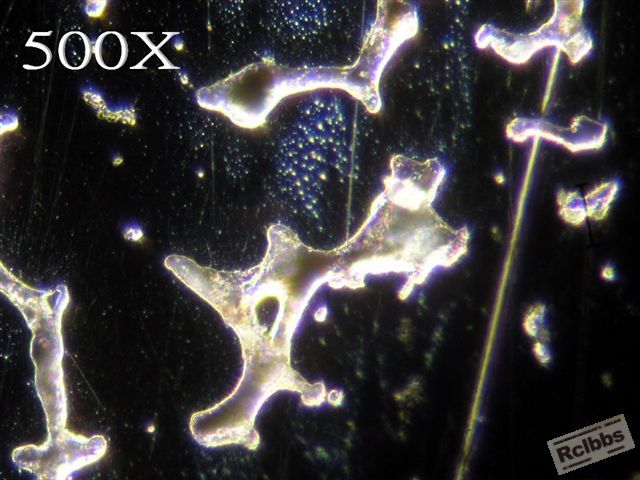 PB057724.jpg