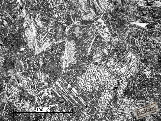 基体500X.jpg