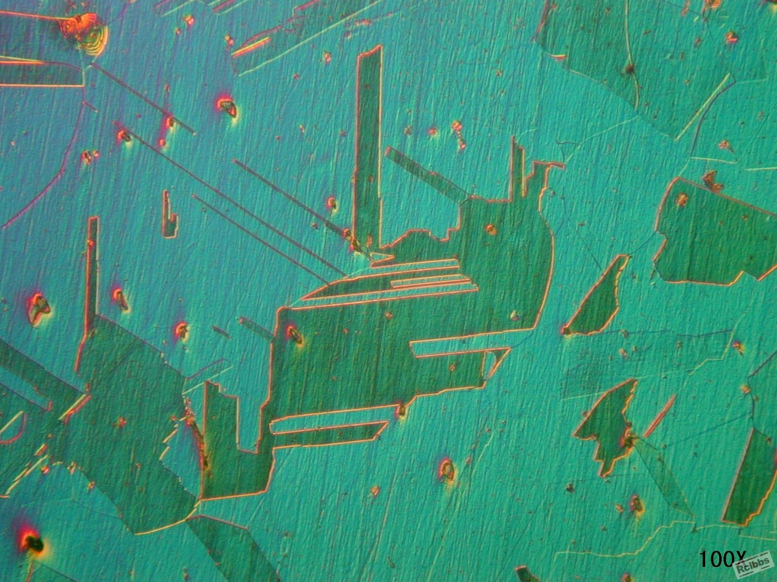 05.JPG