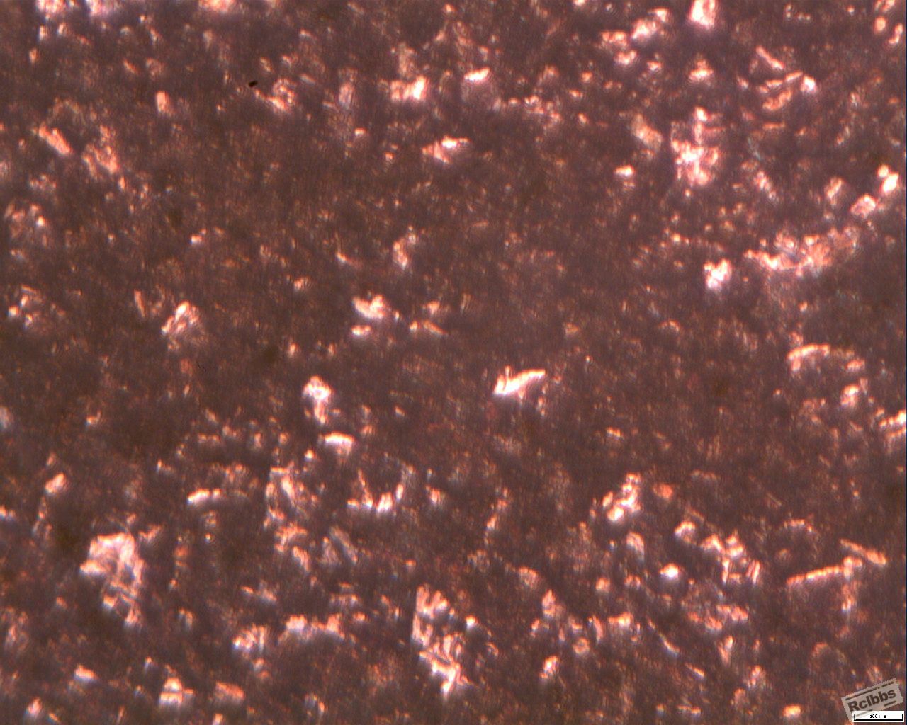 011-100#.jpg