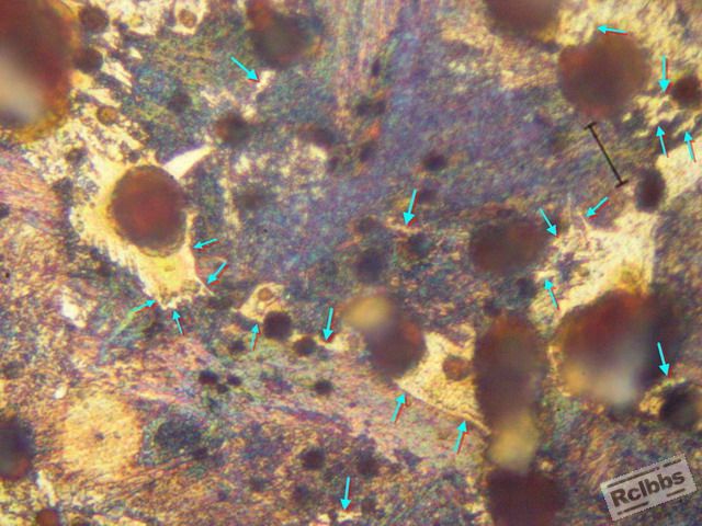 P4218368_E.jpg