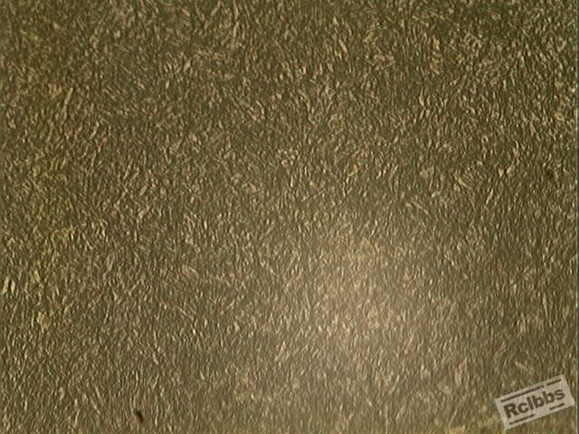 002 中温回火 400倍.JPG