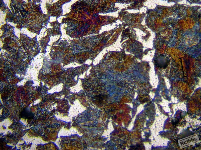 PA196469_E.jpg