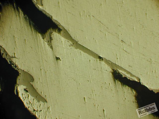 DSCN0005.JPG