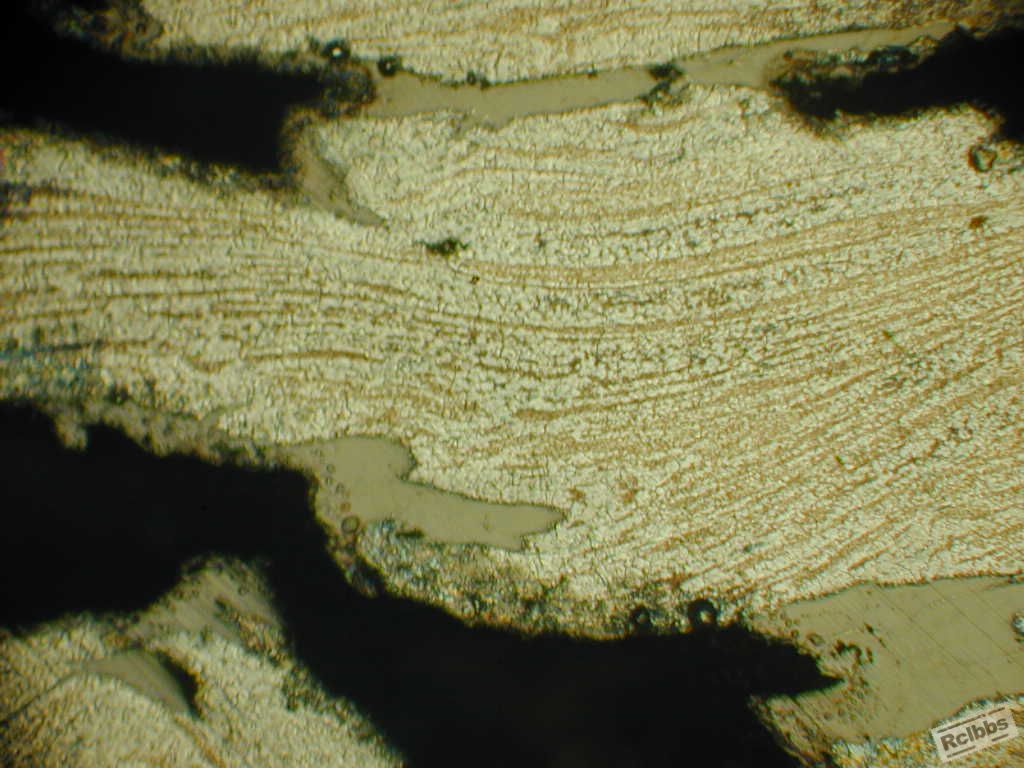 DSCN0022.JPG