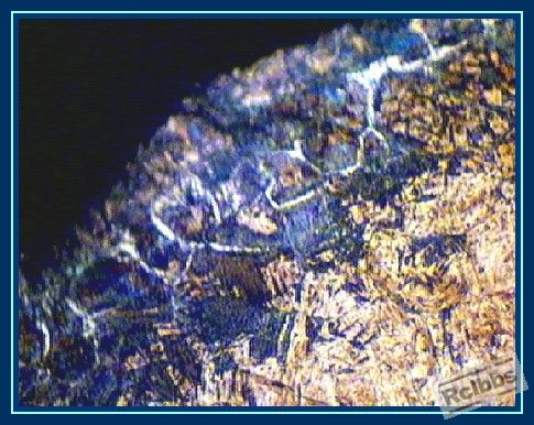 400X-1.jpg