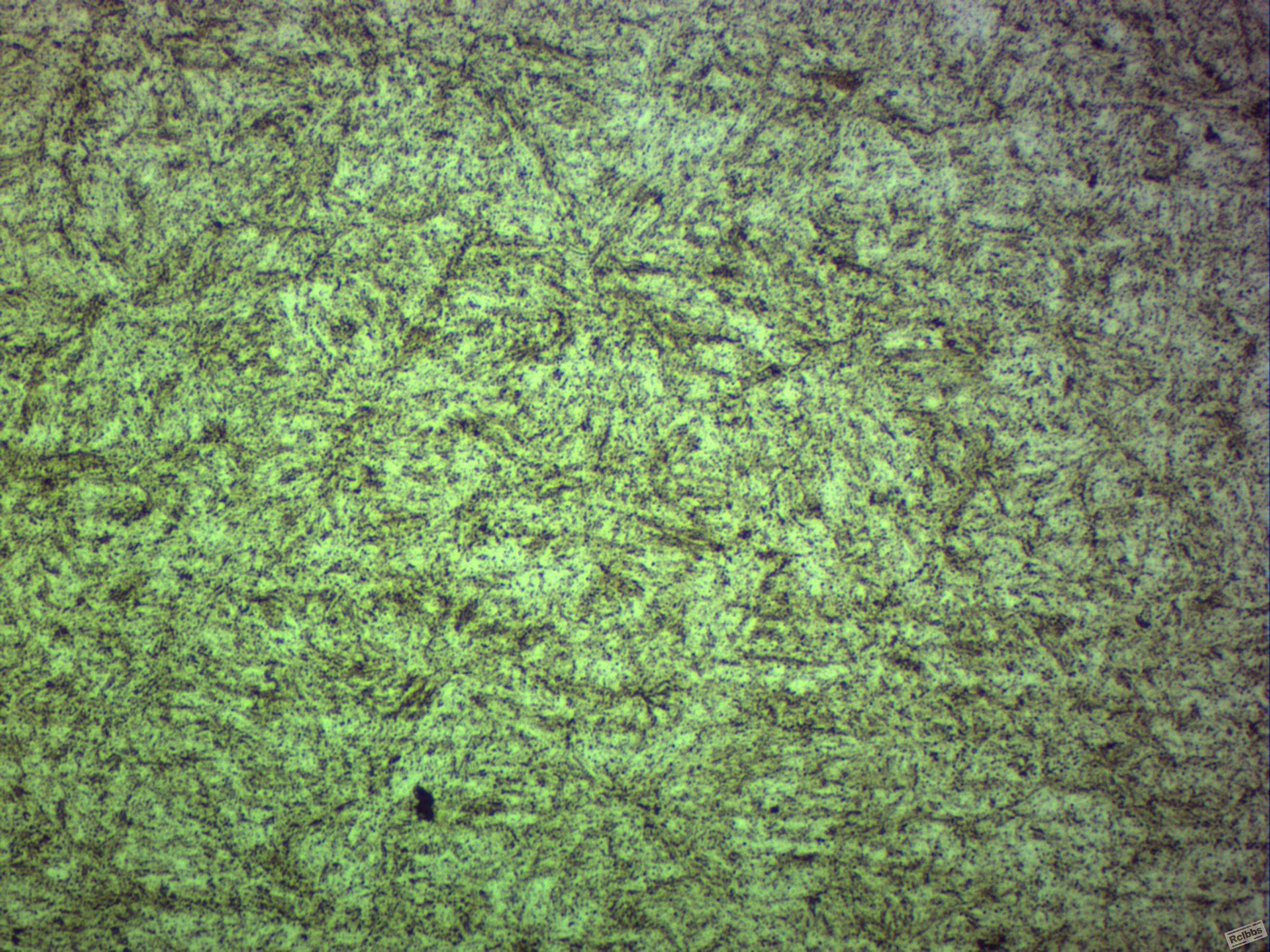 500x-4.JPG