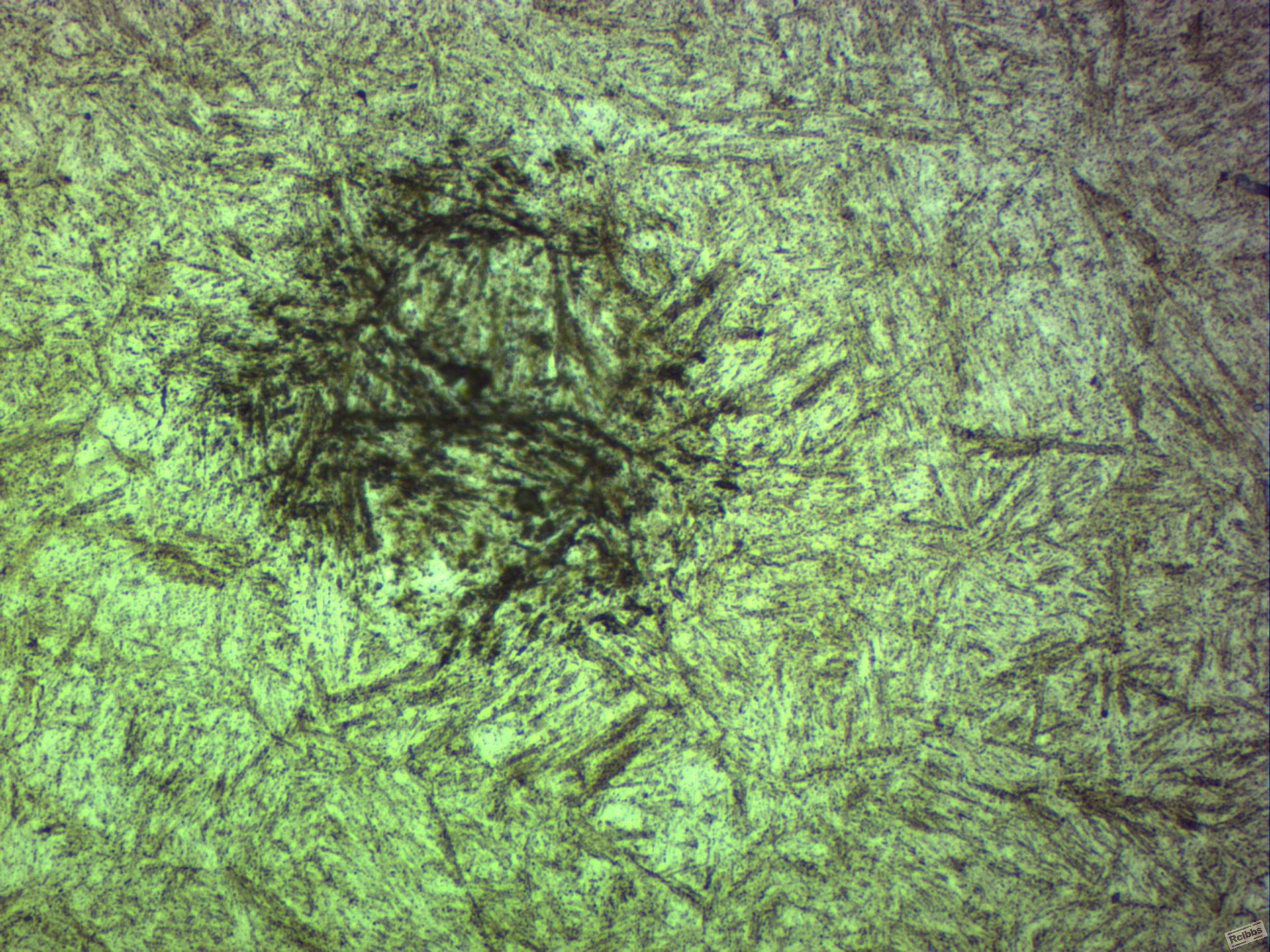 500x-7.JPG