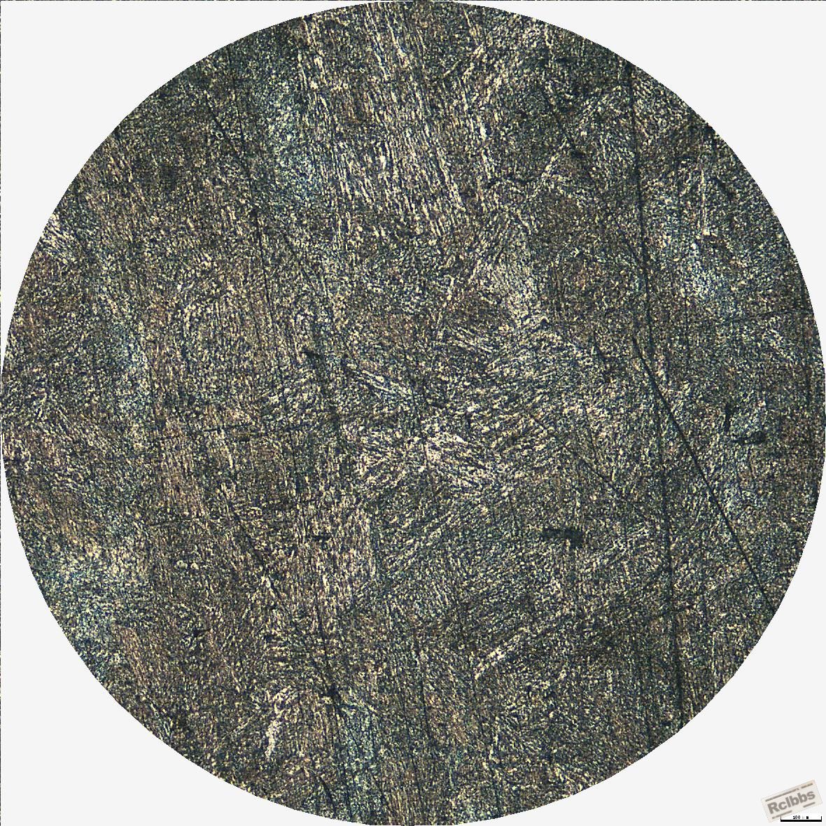 锻造后组织100X.JPG