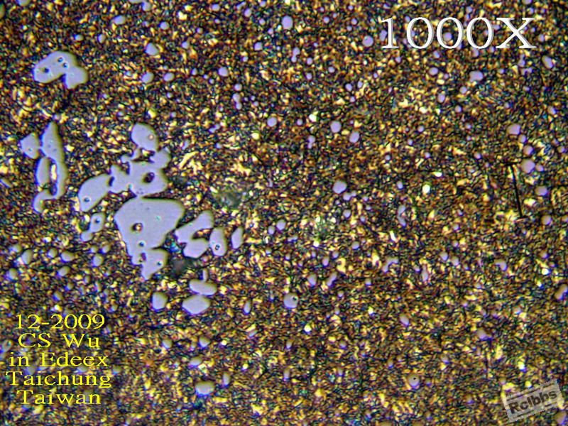 PC010612.jpg