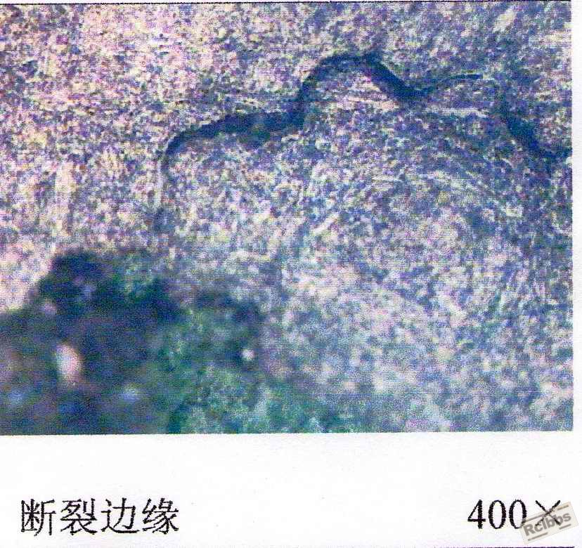 img0021.jpg