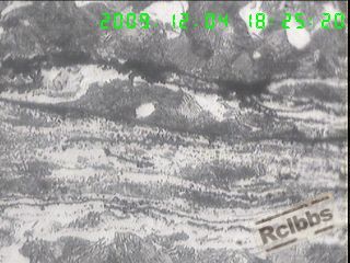 abbr_ca2a7db7d6683456460ee43d851648f2.jpg