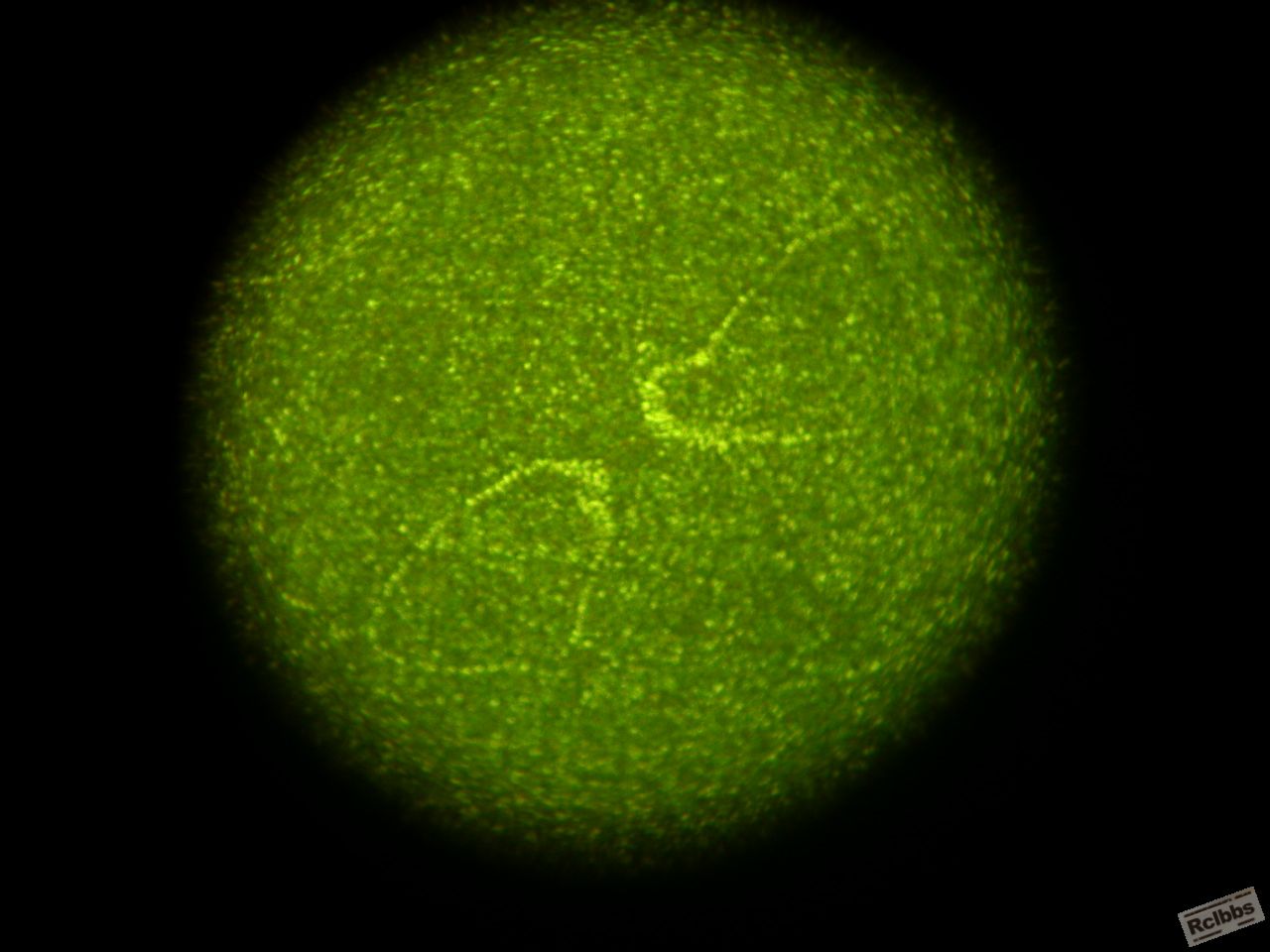DSCN0651.JPG