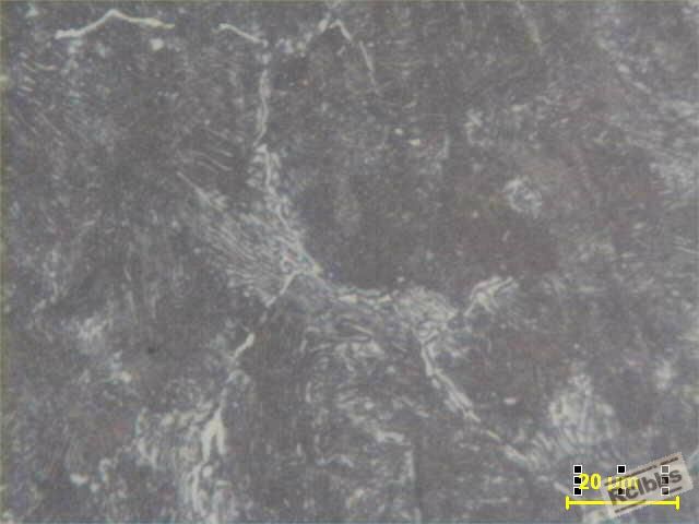 t8 细片珠光体-1.jpg