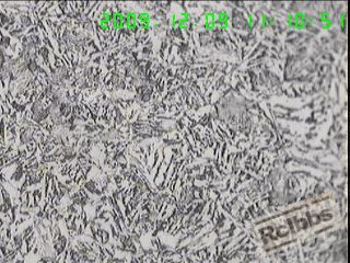 400X横截面心部组织,白色基体上分布着黑色的P,属原材料状态,.jpg