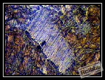 500X-M 上B F.jpg