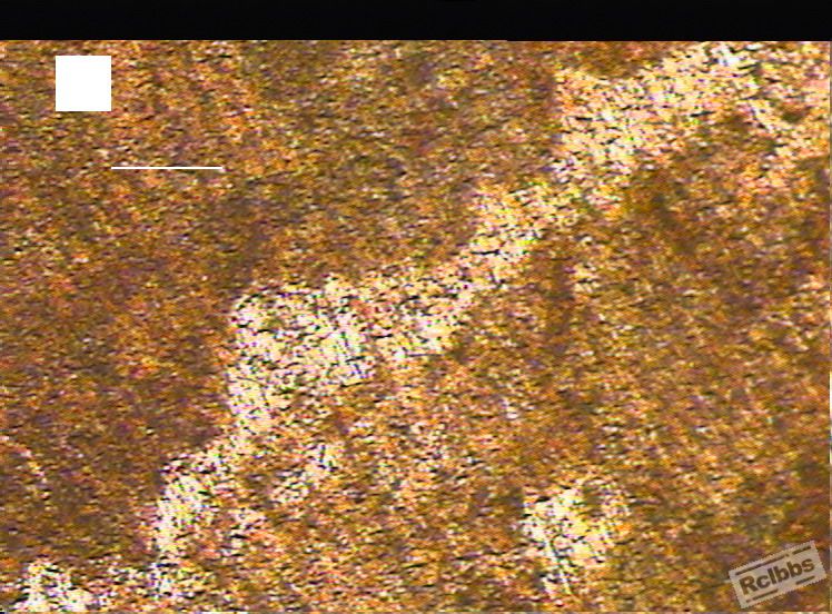 E 100×.JPG