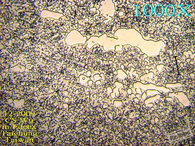 PC101889.jpg