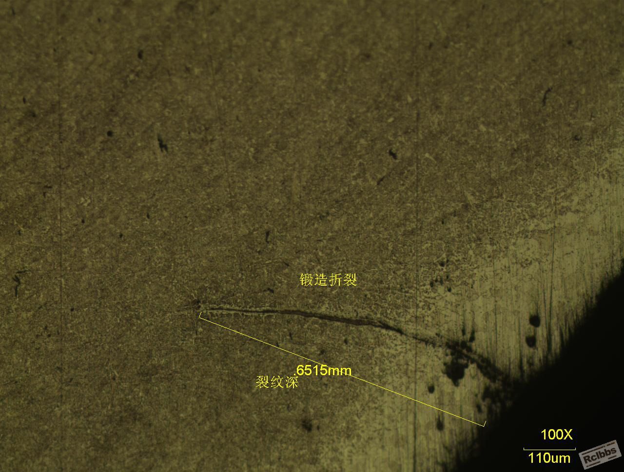 锻件裂纹100X.JPG