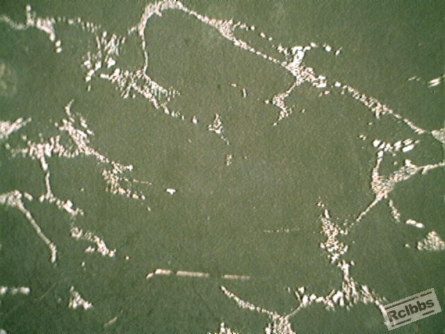 100X-2.jpg