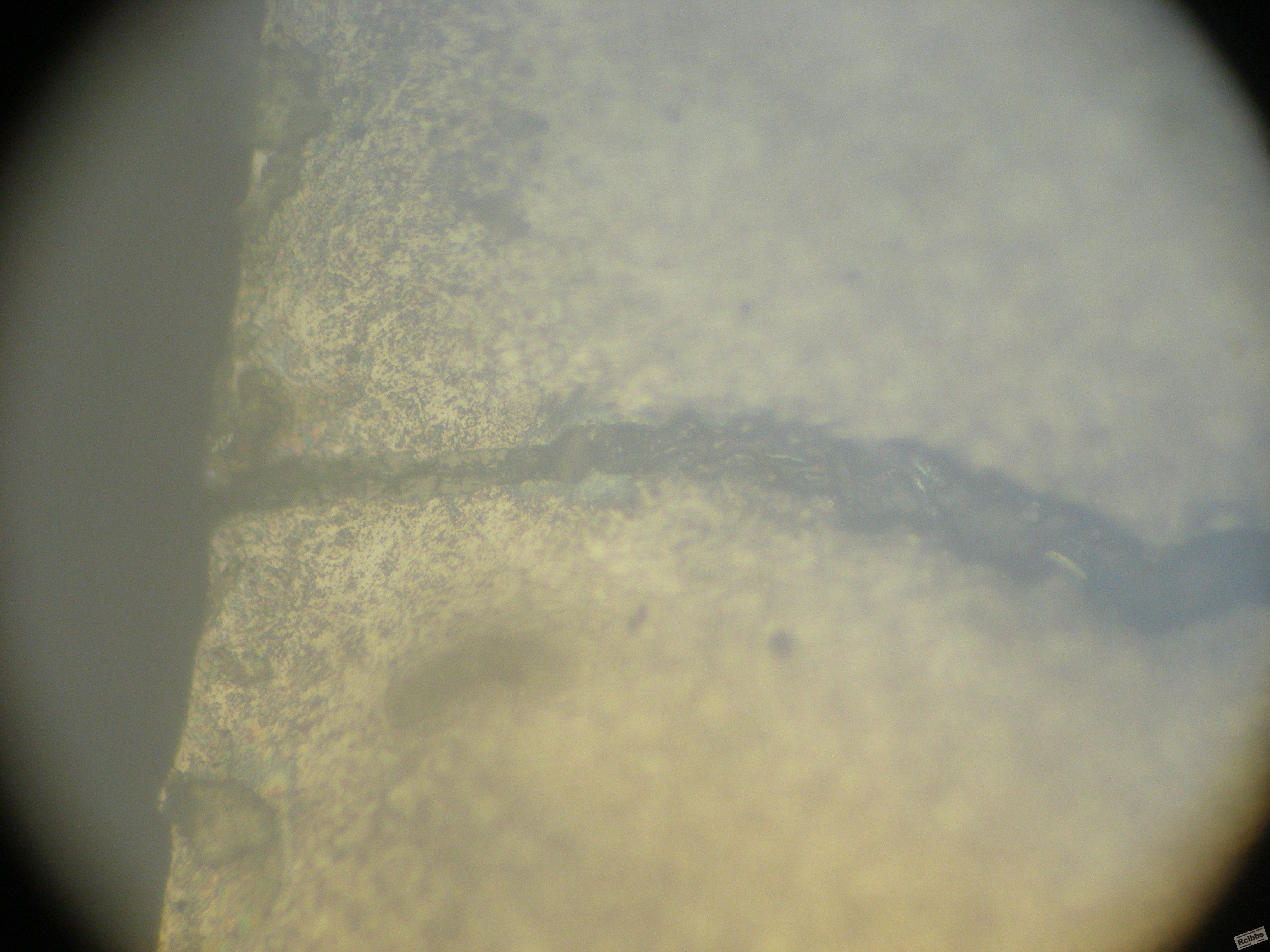PC180915.JPG