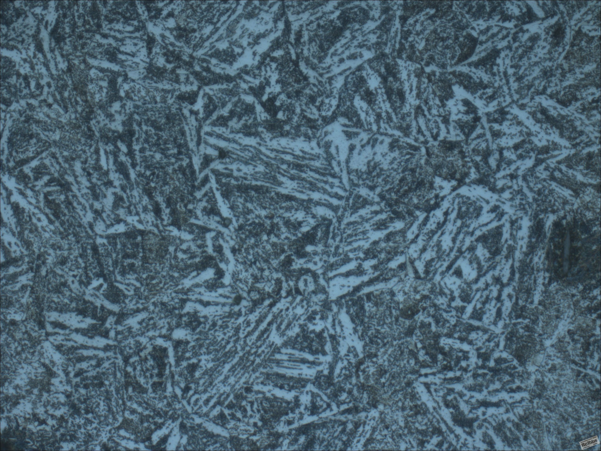 02-500X.JPG