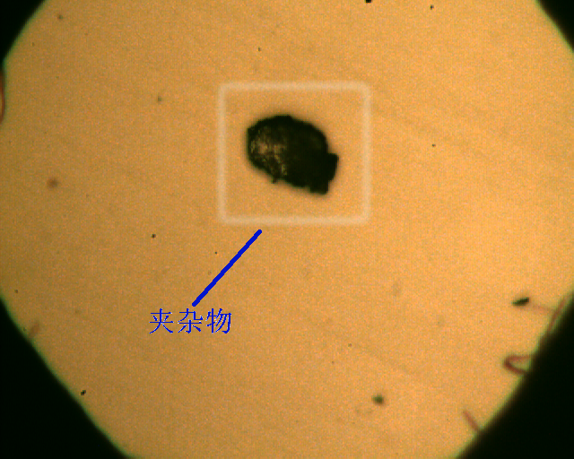 同一视场 同一夹杂物 不同放大倍数 不同焦距之三 400X