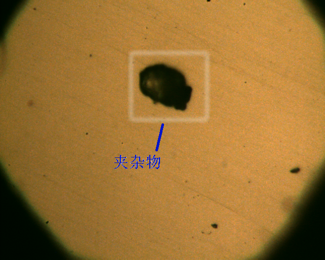 同一视场 同一夹杂物 不同放大倍数 不同焦距之二 400X