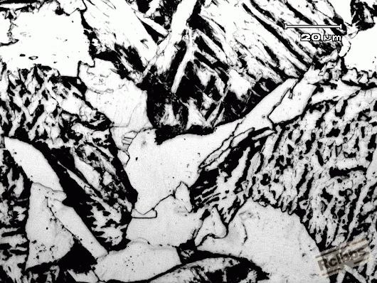 图4  过热区 1000X.gif