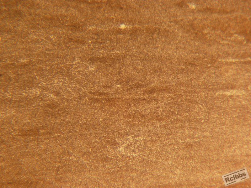 Vilella'reagent  100×